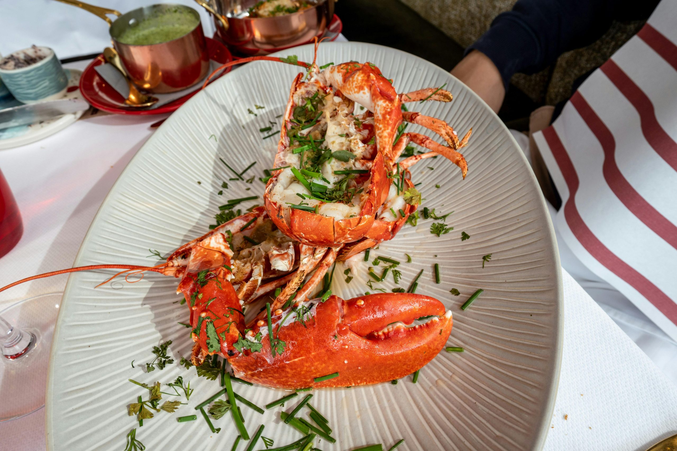 Willpower is a Myth: How to Trick Your Brain into Eating Better