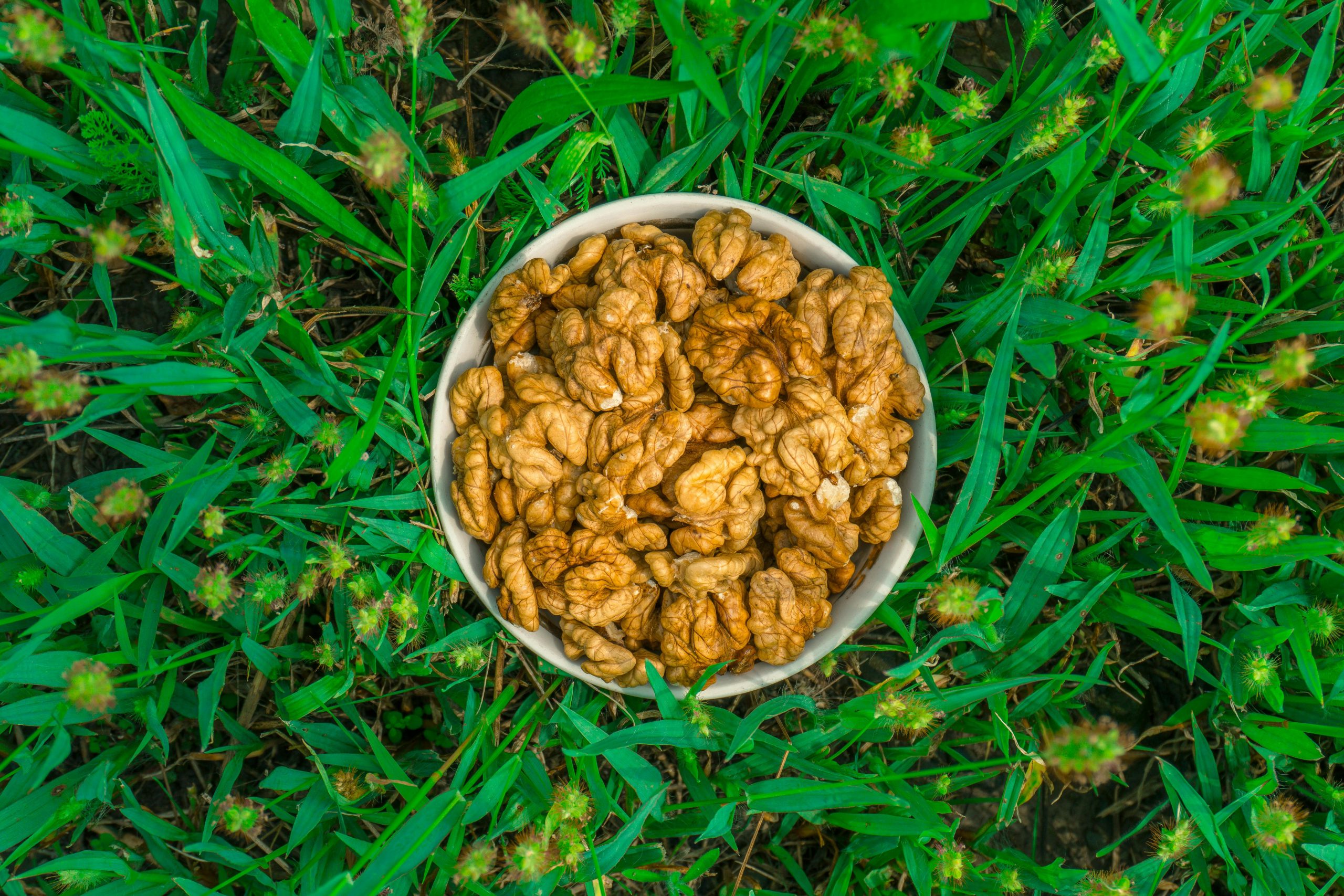 The Flavor Frontier: How to Maximize Taste Without the Calories